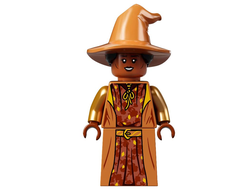 Professor Sinistra, n/a (hp310)