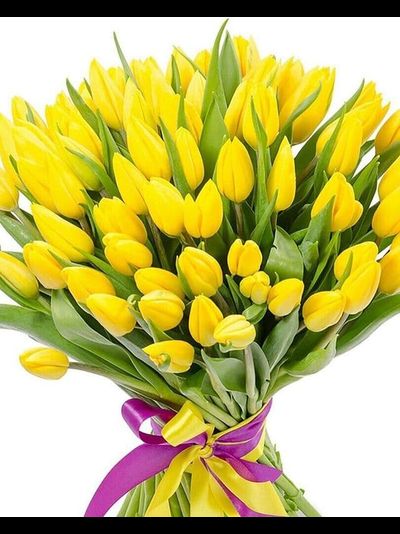 65 тюльпанов