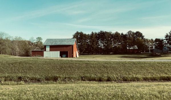 Как правильно подготовить участок для строительства