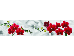 М-26 КРАСНЫЕ ОРХИДЕИ  Матовый кухонный фартук 2800х600х6мм ALBICO