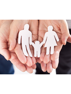 Установление отцовства и материнства (информативное)