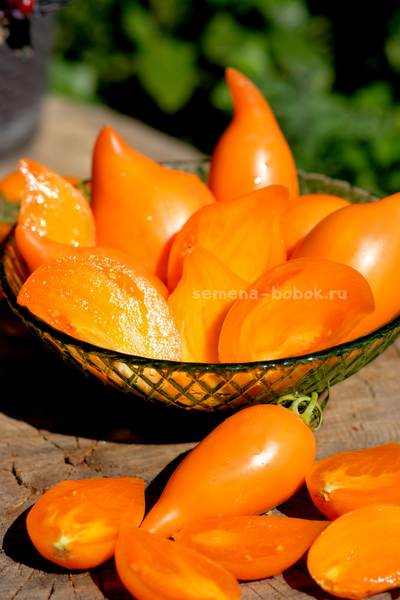 Томат Orange Walk (Оранжевая Прогулка), 10 шт