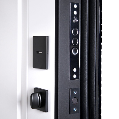 Стальная дверь   Сапсан (биометрический замок Smart lock Y23)