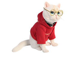 Котик в свитере и очках (белый) - Коллекционная ФИГУРКА 1/3 scale American Shorthair D (JXK061D) - JXK