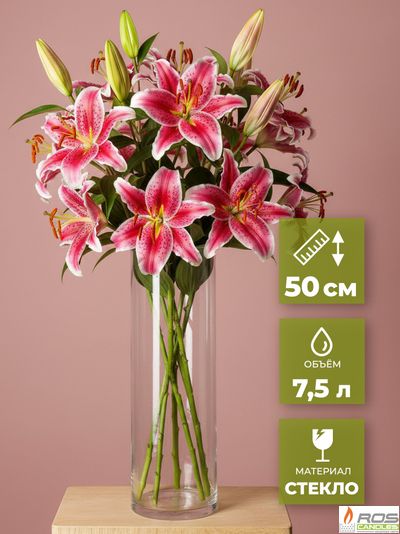 Ваза для цветов 50 см