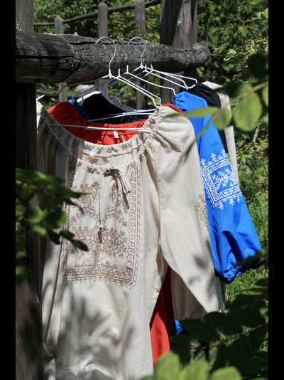 Блуза реглан «Птицы любви»