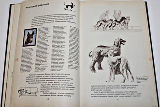 Корнеев Л. Слово о собаке. М.: Мысль. 1989г.