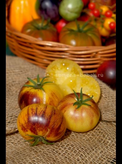 Томат Rebel Starfighter Kayleigh Anne (Восставший Звездный Истребитель Кейли Энн круглый), 10 шт