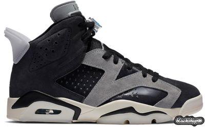 Nike Air Jordan 6 Tech Chrome (40-45)
