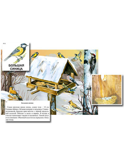 Магнитный плакат-аппликация "Биоразнообразие и экологические группы. Птицы зимой"