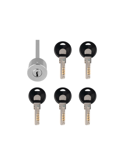 DL11 - накладной электромеханический замок (-45° ~ +50°С)