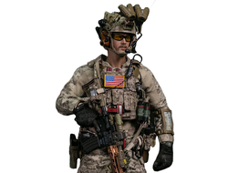 Спецназ ВМС США - КОЛЛЕКЦИОННАЯ ФИГУРКА 1/6 SCALE NSWDG NAVAL SPECIAL WARFARE DEVELOPMENT GROUP AOR1 (78065) - DAMTOYS