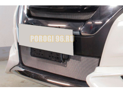 Защита радиатора Nissan Serena 2016-2019 chrome верх