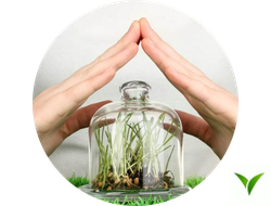 Средства защиты растений