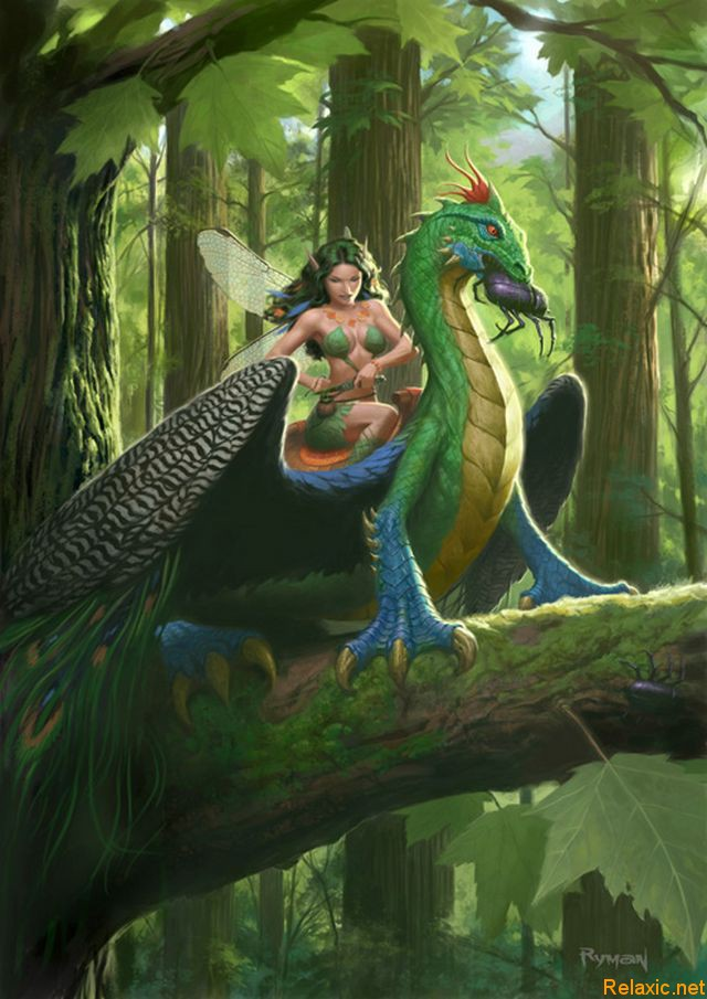 Фея и дракон арт. Фею не драконить читать. Эми дракон. Эльфийка и единорог. Дракон бабочка.