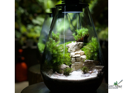 Биобутылка Biolark LED SD175 (175мм х 230мм)