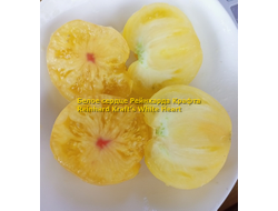 Томат Белое сердце Р. Крафта (Reinhard Kraft’s White Heart)