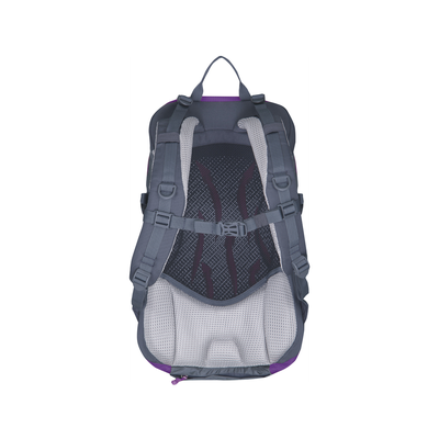 Рюкзак Husky Spiner 20L Purple
