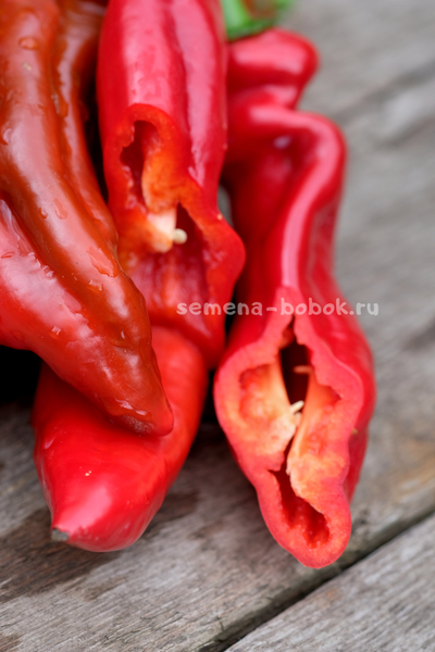 Перец сладкий Палермо Красный, 10 шт