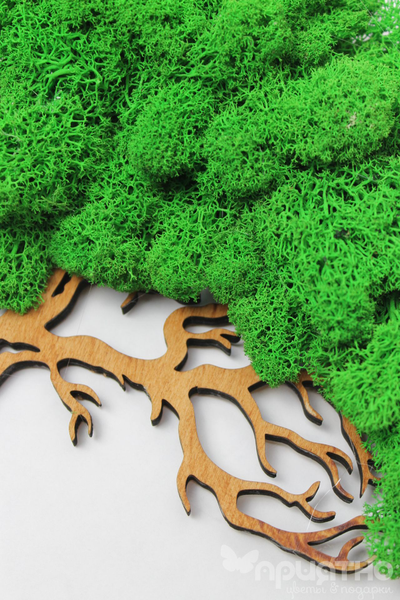 Живая Эко-Картина 1067