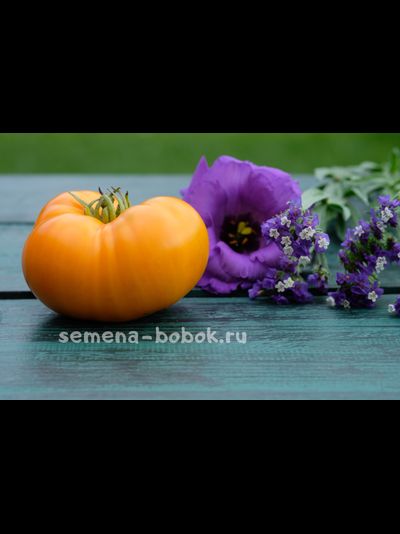 Томат Персик и Крем (Peaches and Cream), 10 шт