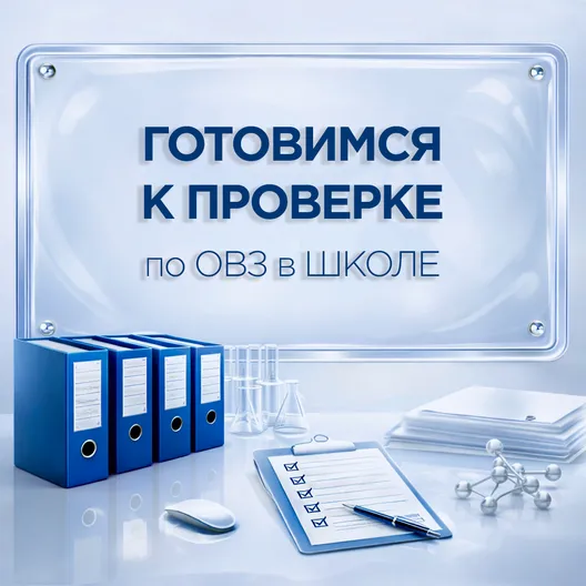 Пакет «Готовимся к проверке по ОВЗ в ДОУ»