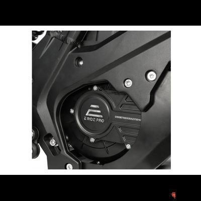 Электробайк E RIDE PRO-SS 19