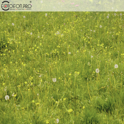 Фотофон 3D пазловый «Солнечный лучик»