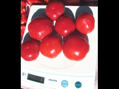 Перец острый Алма паприка (Яблочный перец, Alma Paprika)