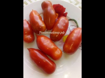 Томат Osu o Blonde avec Tetons (Пышногрудая блондинка Osu)