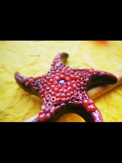 Красивая брошь "Морская звезда Золотых Морей" с родолитом