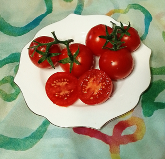 Семена томата Сирэл чойс