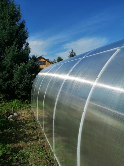 Поликарбонат сотовый «Экстра» прозрачный, П:39, размер: 3,8мм*2,1м*6м