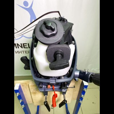 Лодочный мотор SEA-PRO F5S