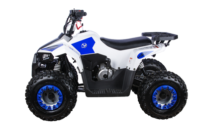 Квадроцикл YACOTA RAPOSA