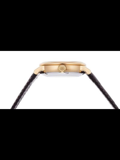 Мужские часы Orient RE-AU0001S