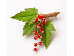 Брошь "Красная смородина".