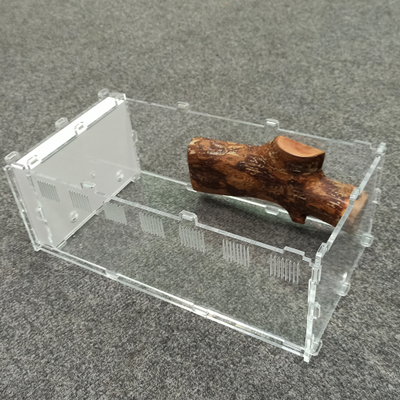 Муравьиная ферма 4ants с гнездом из дерева ценных пород