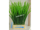 Искусственная трава Осока № Т013