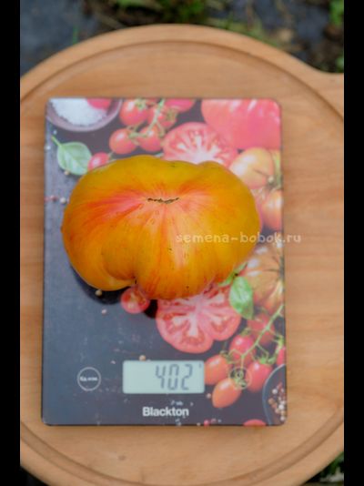 Томат Огненный Поцелуй Биколор с носиком, 10 шт