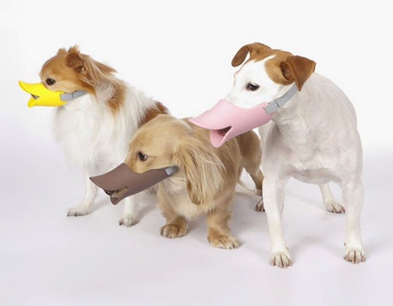 Гламурный НАМОРДНИК "УТКА" ДЛЯ СОБАК (УТИНЫЙ КЛЮВ) (OPPO DOG QUACK ...