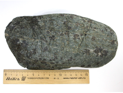 Гранат в фуксите, срез полированный, Россия, Адыгея (225*115*33 мм, 1371 г) №23420