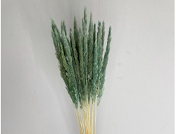 Вейник зеленый