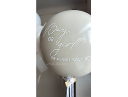 Комплект на гендер-пати №2