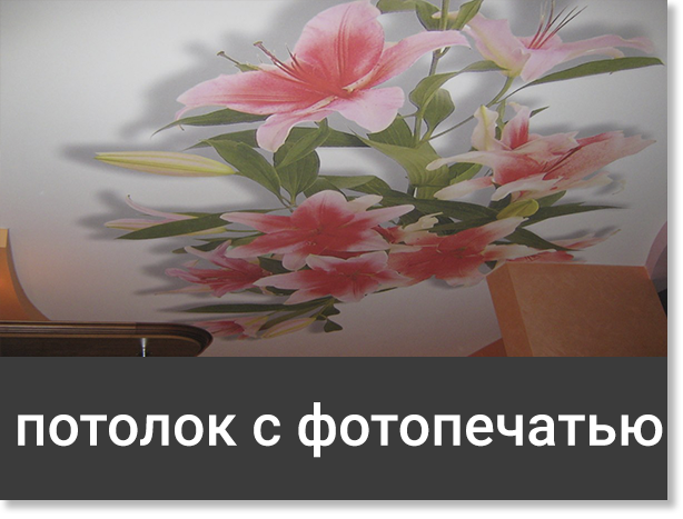 Натяжной потолок с фотопечатью