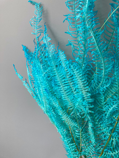 Папоротник #2 голубой