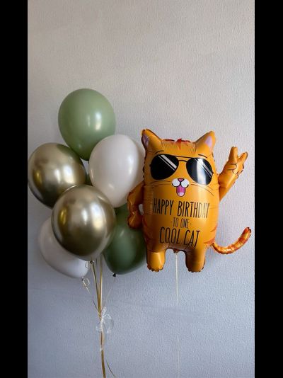 Набор шаров с гелием &quot;Крутой кот&quot;