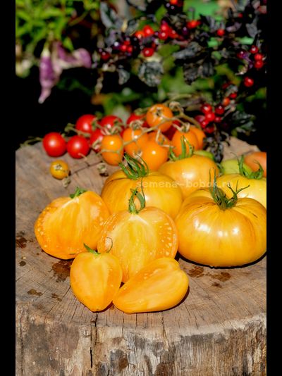 Томат Дынный Ликёр, 10 шт