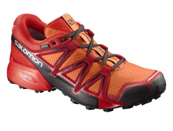 Кроссовки SALOMON  SPEED CROSS VARIO2 GTX  398470  (Размер: 6,5)