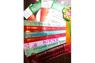 Победный день! Много работы - заслуженные нарады: в 9 месяцев Аля стала Юным Чемпионом России и Юным Чемпионом РКФ!